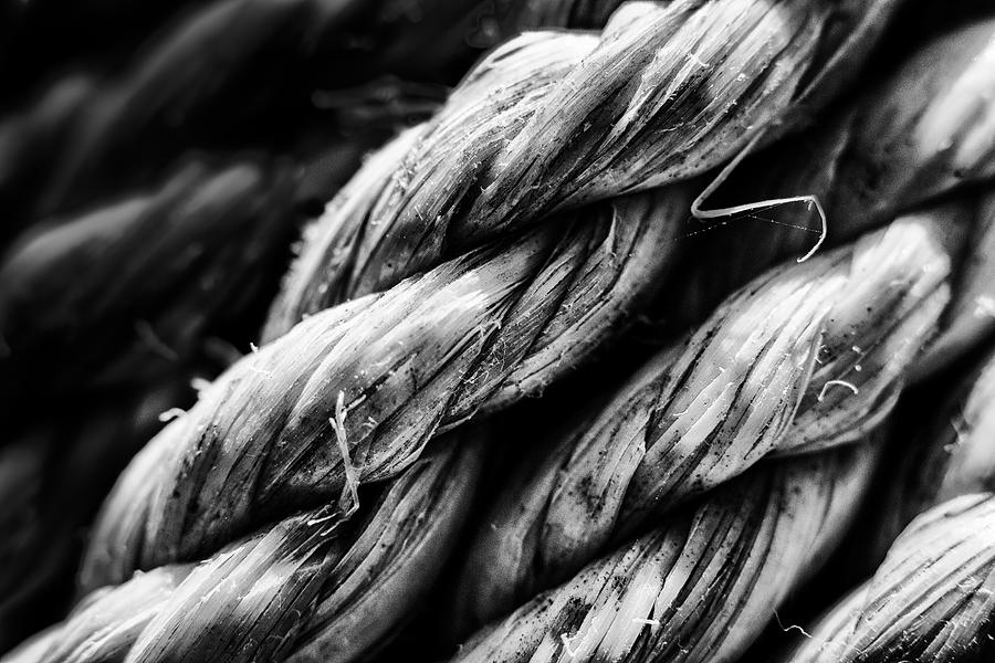 Rope Photograph by Jay Stockhaus