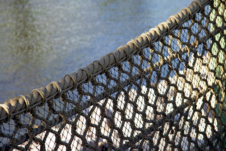 Rope Net Water Photograph by Cora Wandel