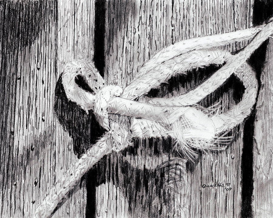 Rope on a Fence Painting by Quwatha Valentine