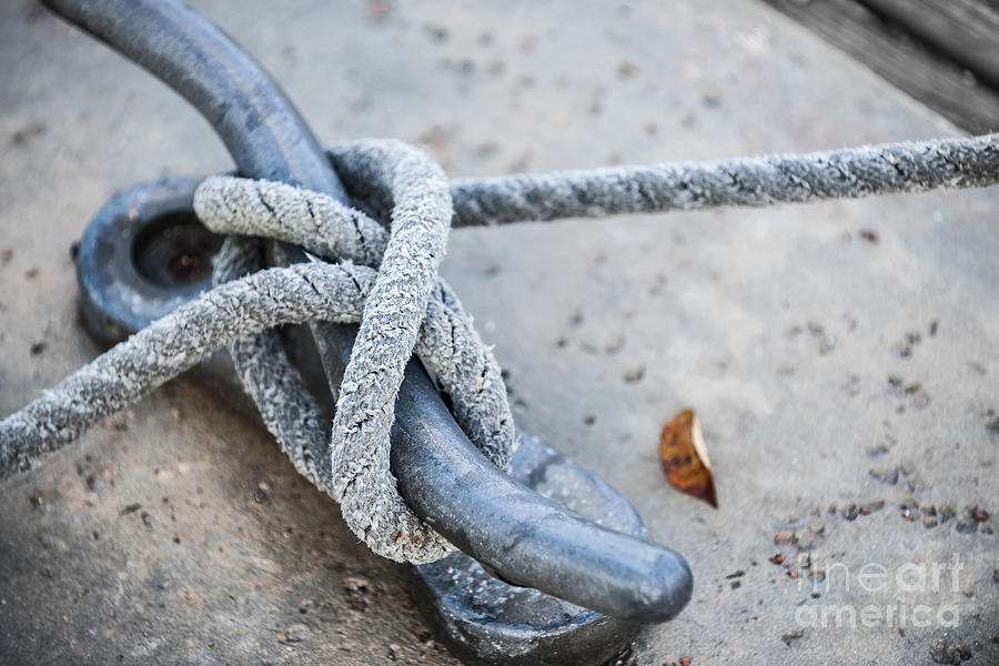 Rope on cleat 3 Photograph by Elena Elisseeva