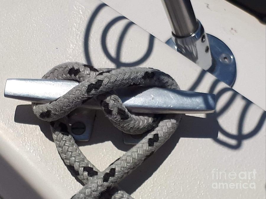 Rope on cleat with wire drink holder shadows  Photograph by Lisa Koyle