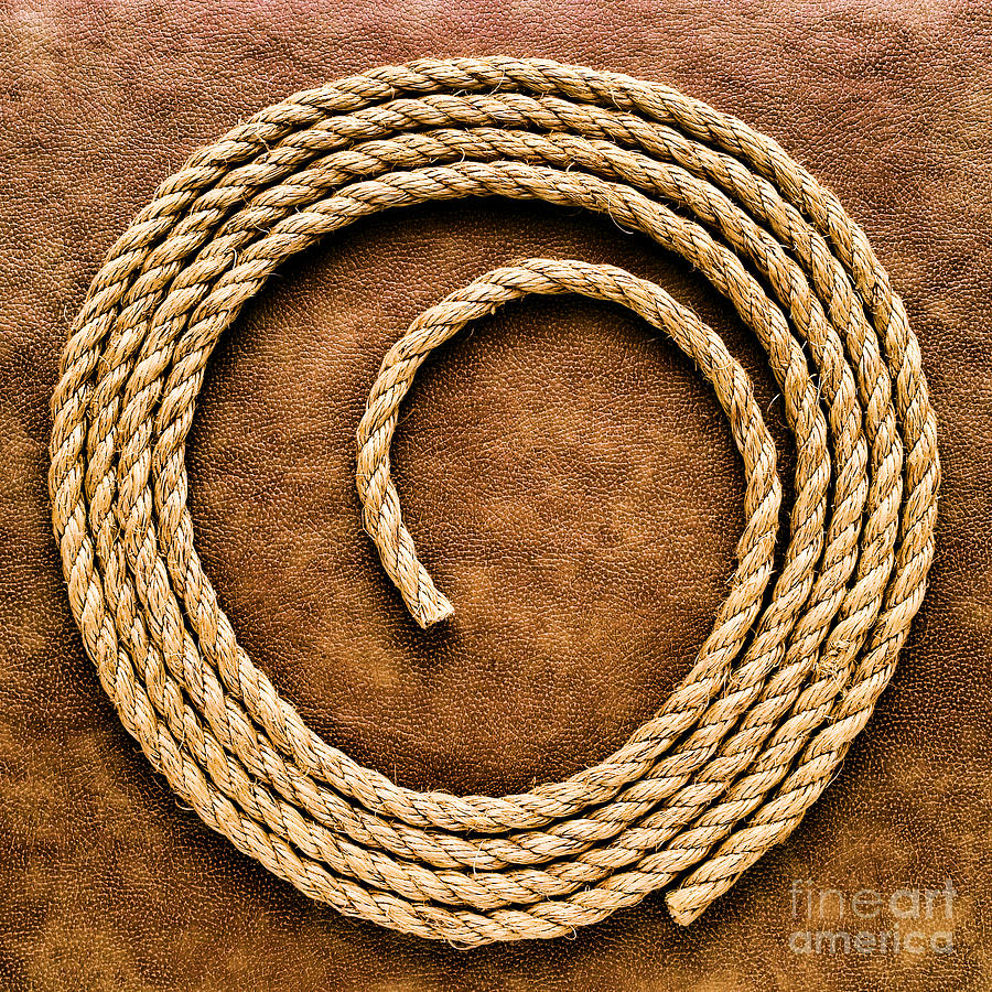 Rope Photograph - Rope on Leather by Olivier Le Queinec