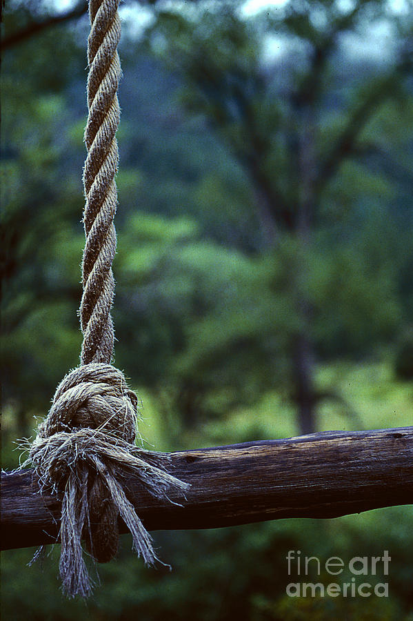 Rope Swing Photograph by Ken DePue