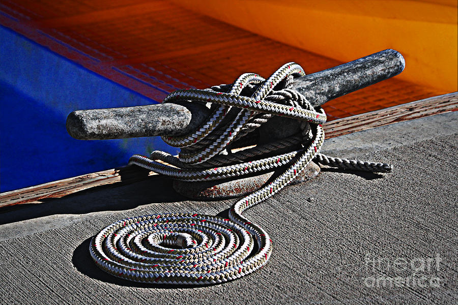 Rope swirl Photograph by Danuta Bennett