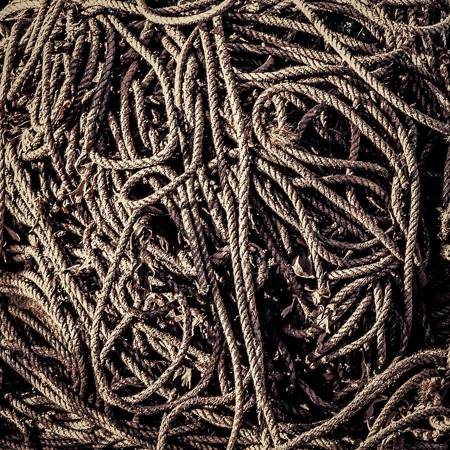 Rope Tangle Photograph