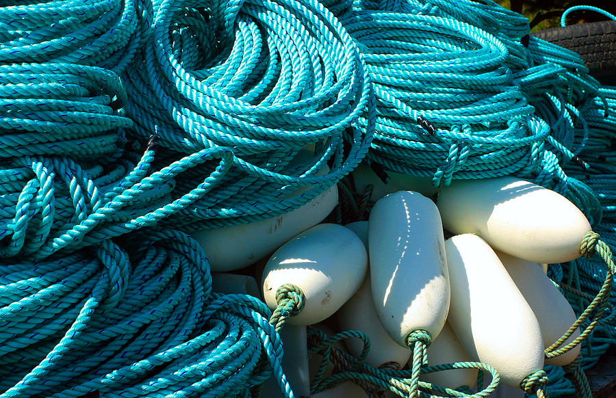 Ropes And Buoys Photograph by Kami McKeon