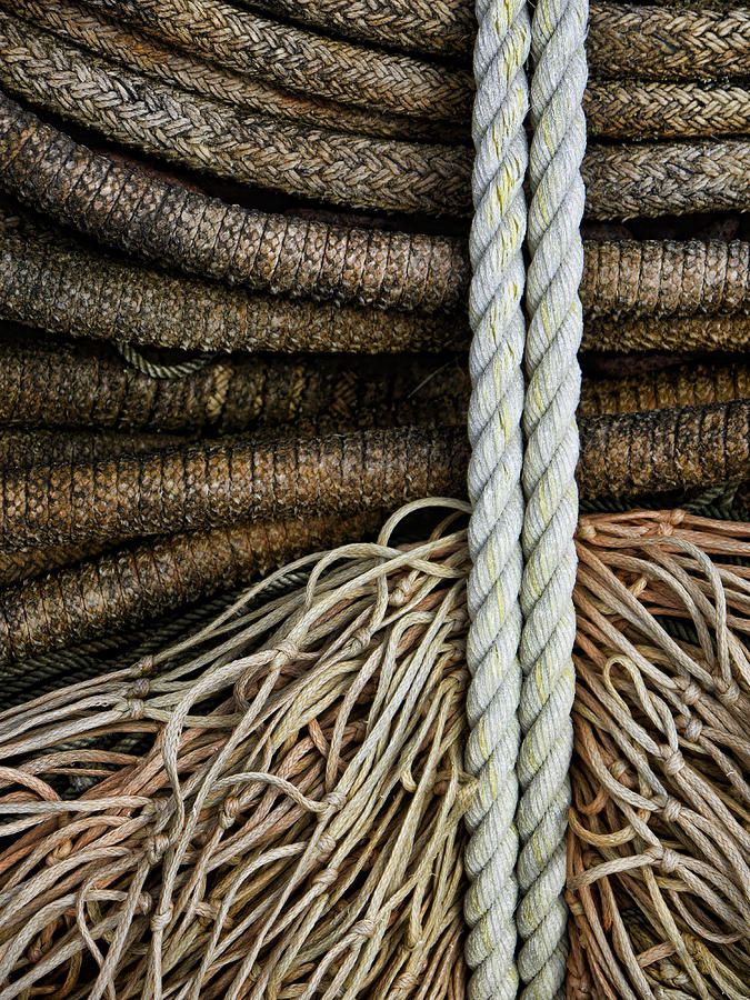 Ropes and Fishing Nets Photograph by Carol Leigh