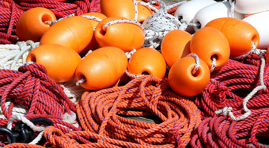 Ropes and Floats Photograph by Imagery-at- Work