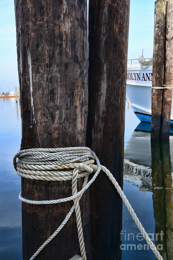 Rope Photograph - Ropes and Pilings by Paul Ward