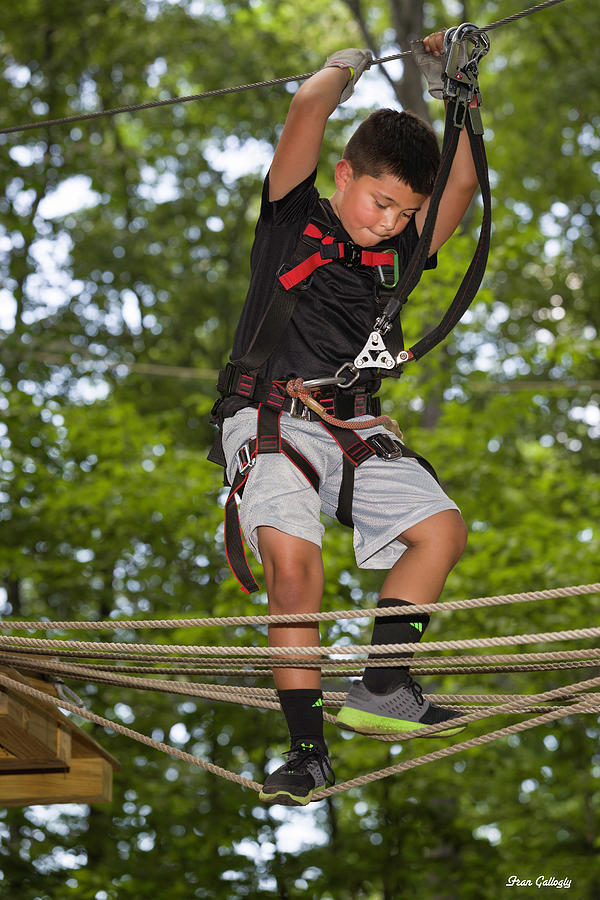 Ropes Course Fun Photograph by Fran Gallogly