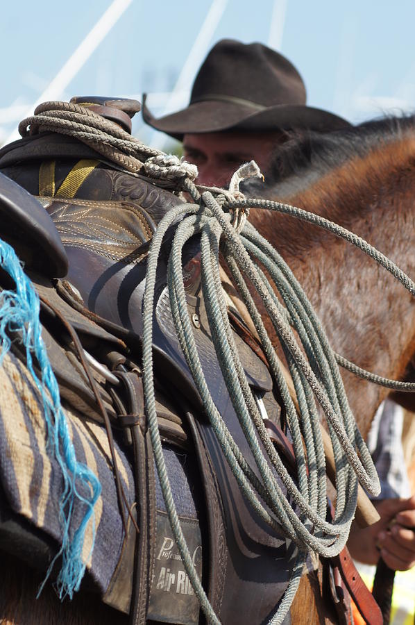 Ropes n Saddle Photograph by Lynda Dawson-Youngclaus