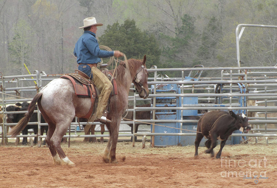 Roping  Photograph by Donna Brown