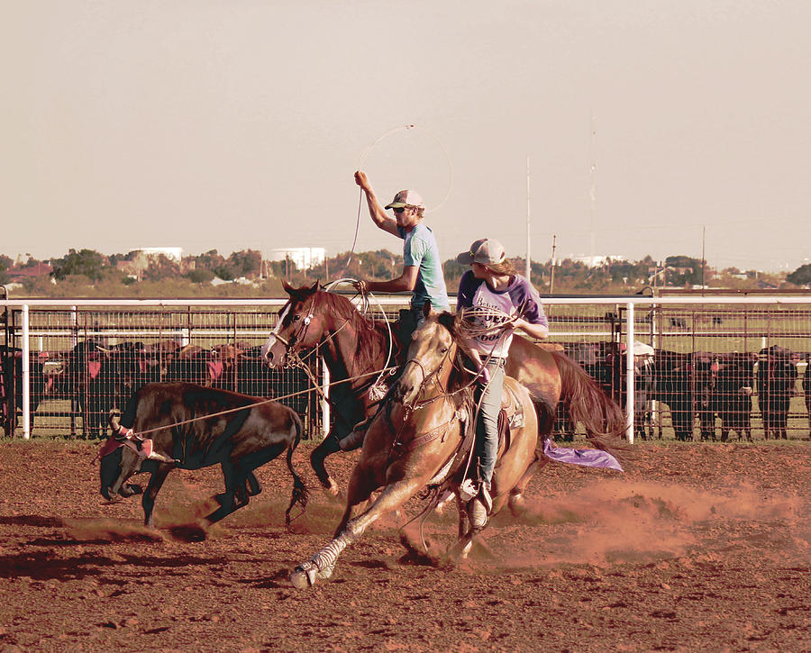 Horse Photograph - Roping Fever by Suzan Madison Casey