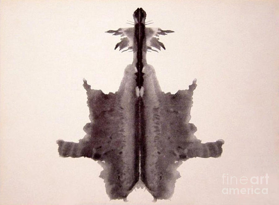 Rorschach Test Card No. 6 Photograph by Science Source