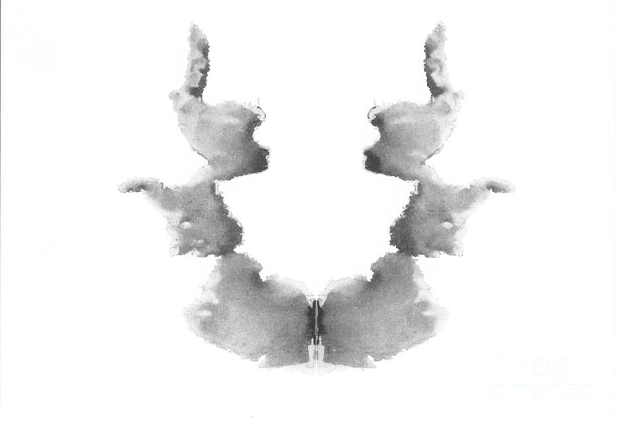 Rorschach Test Card No. 7 Photograph by Science Source