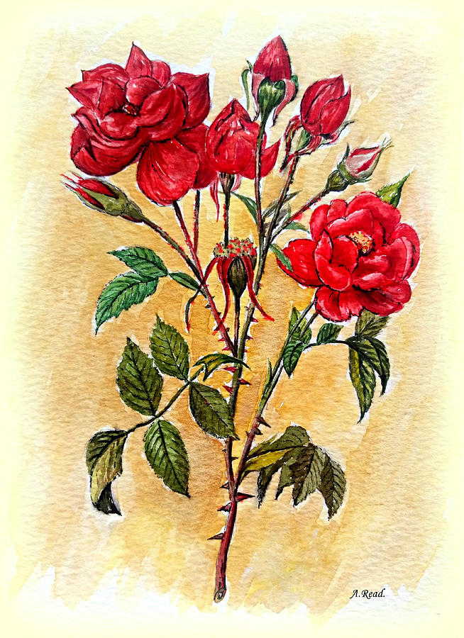 Rosa Mister Lincoln 1 Painting