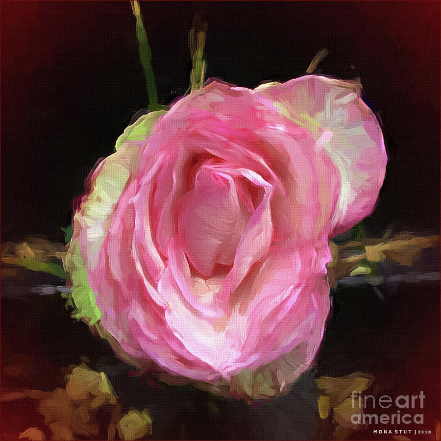 Rosa Rose Portrait Digital Art by Mona Stut