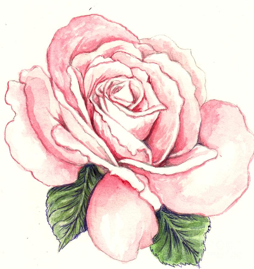 Rose 1 Painting by Morgan Fitzsimons