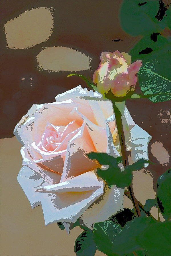 Flower Photograph - Rose 112 by Pamela Cooper