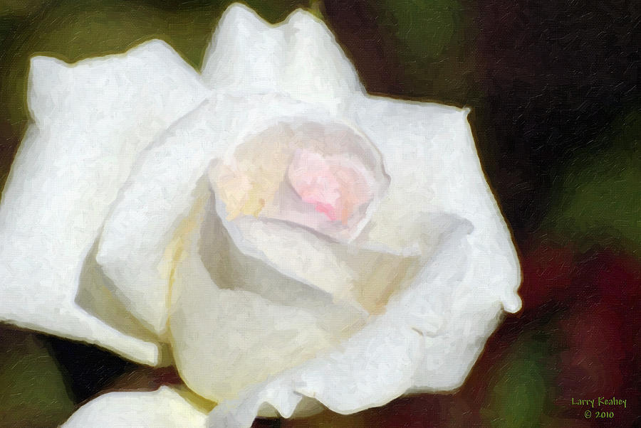 Nature Photograph - Rose 2 by Larry Keahey