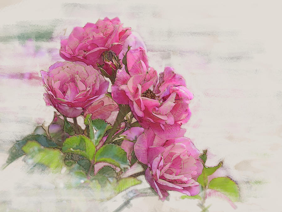 Rose 2 Digital Art by Mark Mille