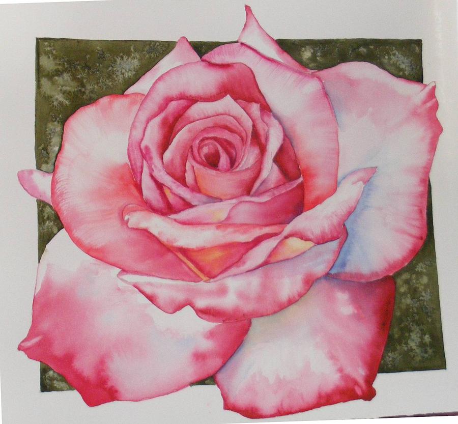 Rose 3 Painting by Diane Ziemski