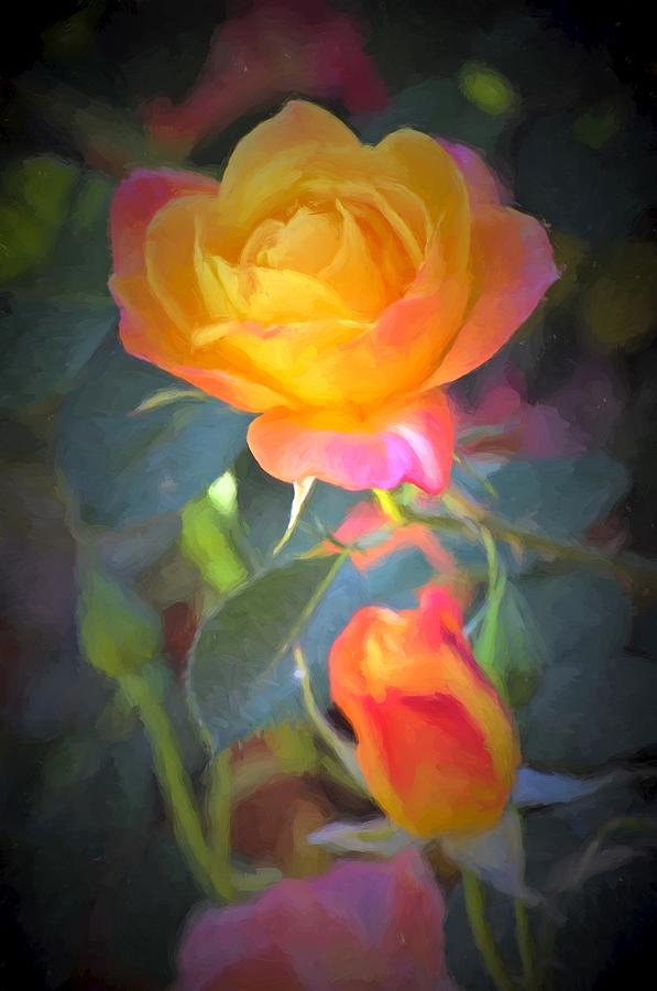 Flower Photograph - Rose 335 by Pamela Cooper