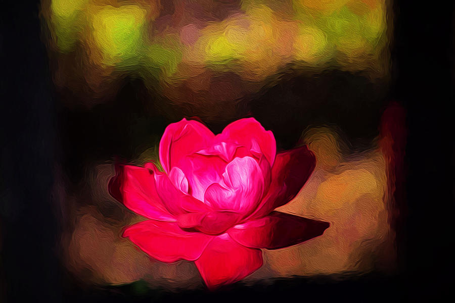 Rose A Glow Digital Art by Renette Coachman