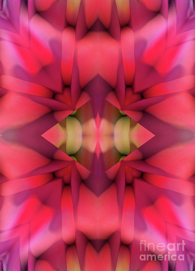 Abstract Digital Art - Rose Abstract by Linda Phelps