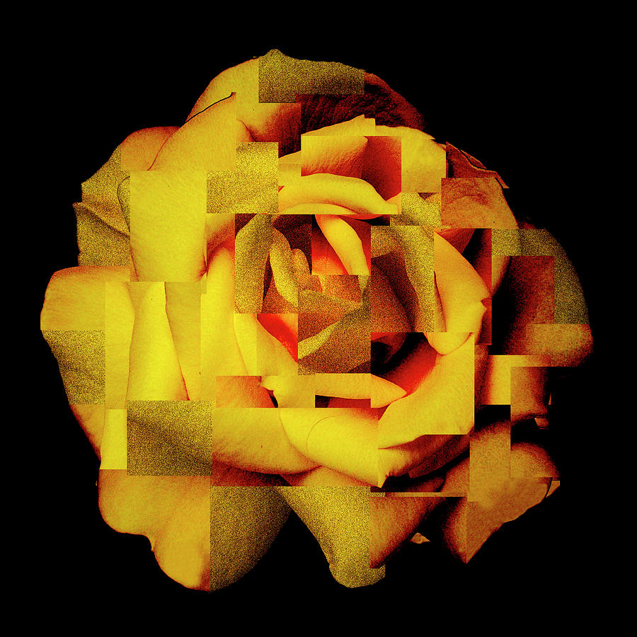 Rose Abstract Photograph by Hazy Apple