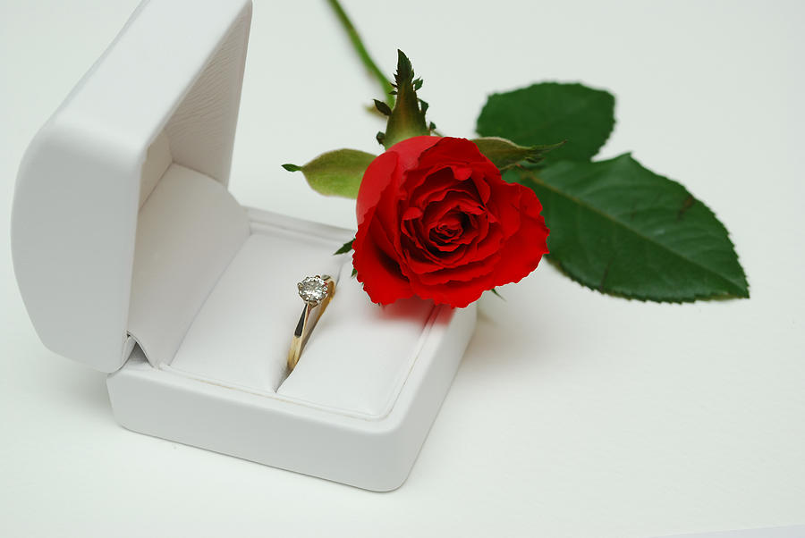 Rose and Diamond Ring Photograph by Terence Davis