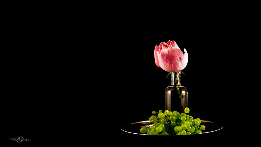 Rose and grapes R Photograph by Torbjorn Swenelius