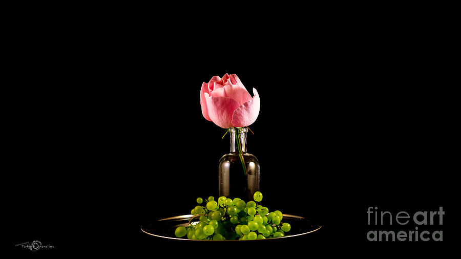 Still Life Photograph - Rose and grapes by Torbjorn Swenelius