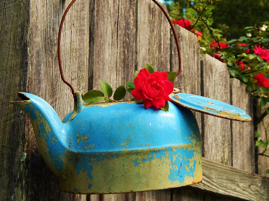 Rose And Kettle Photograph by Jan Gelders