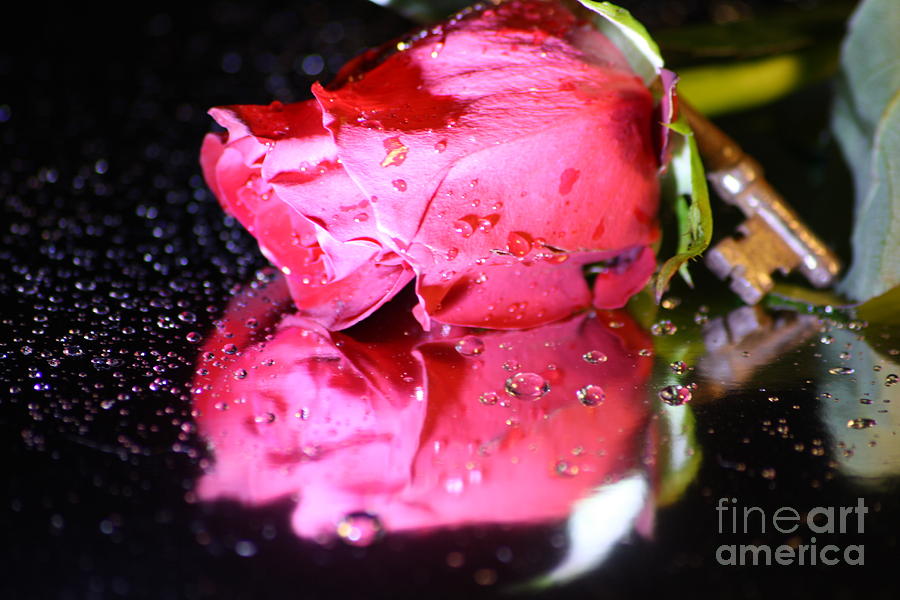 Rose Photograph - Rose and Key by Cynthia Derosier