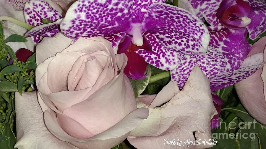 Orchid Photograph - Rose and Orchid by Afroditi Katsikis