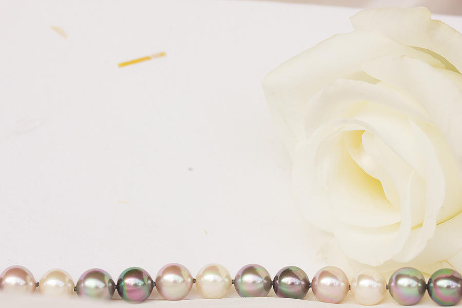 Rose and Pearls Photograph by Anastasy Yarmolovich