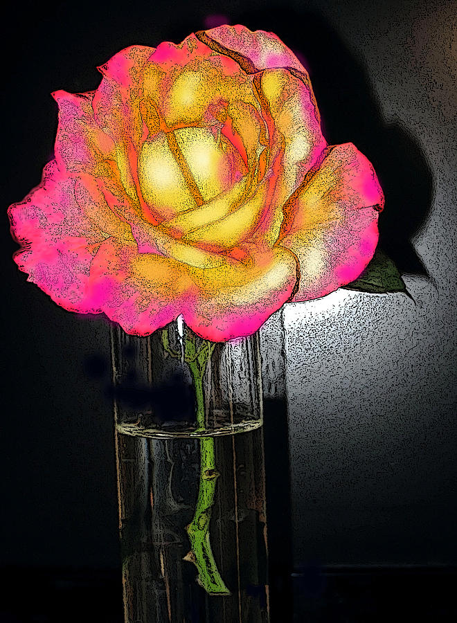 Rose Digital Art - Rose and Shadows by Ian  MacDonald