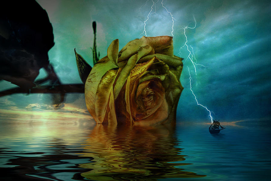 Rose and storm fantasy Digital Art by Lilia D