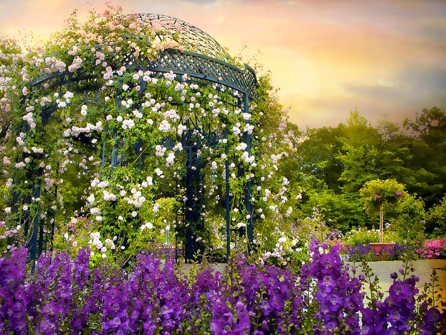 Rose Arbor at Sunset Photograph by Jessica Jenney