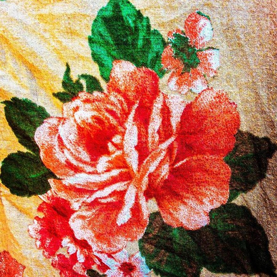 Flower Photograph - #rose #blouse #fabric #material by Sam Stratton