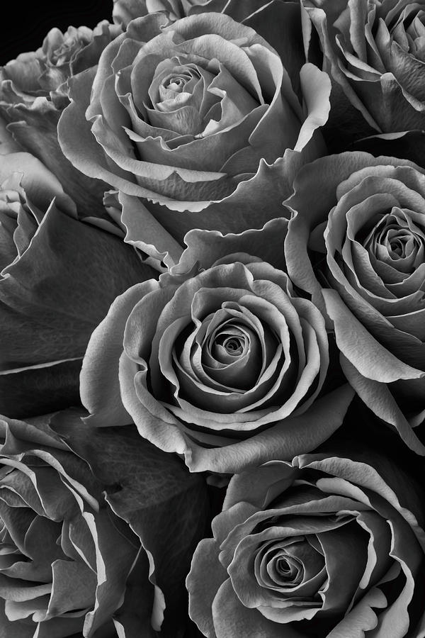 Rose Bouquet In Black And White Photograph by Garry Gay