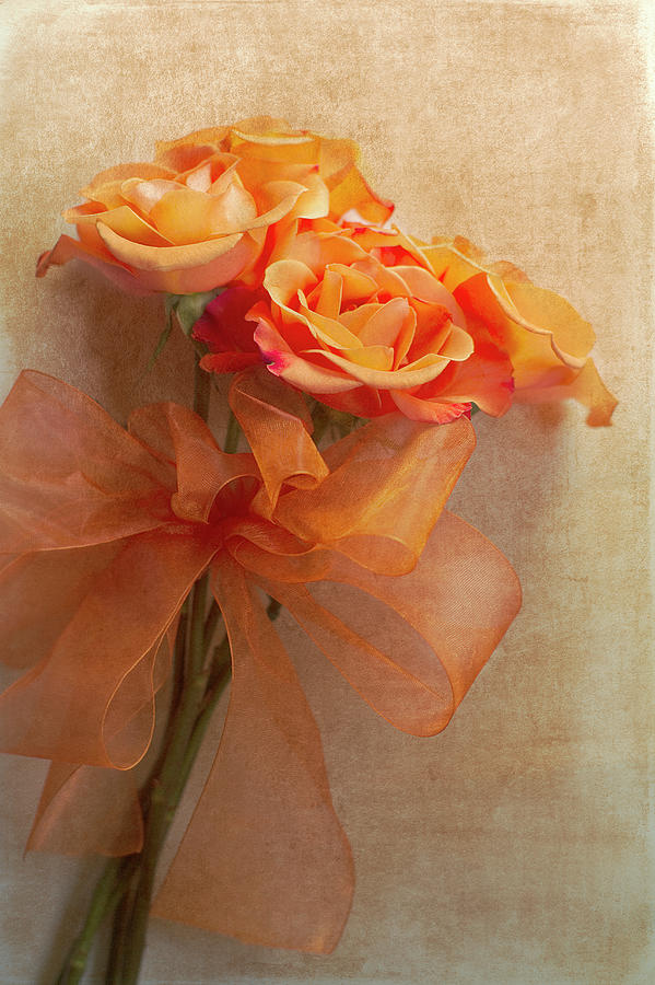 Rose Bouquet Photograph by Rebecca Cozart