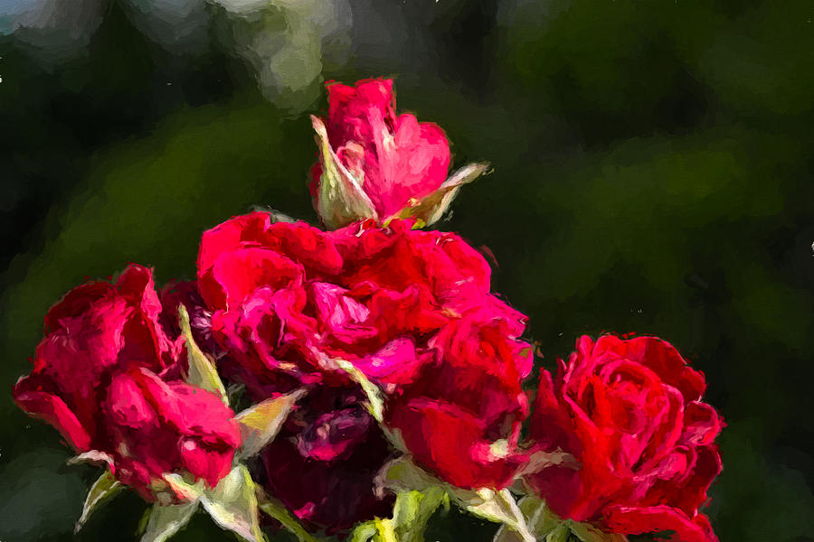 Rose bouquet  Photograph by Leif Sohlman