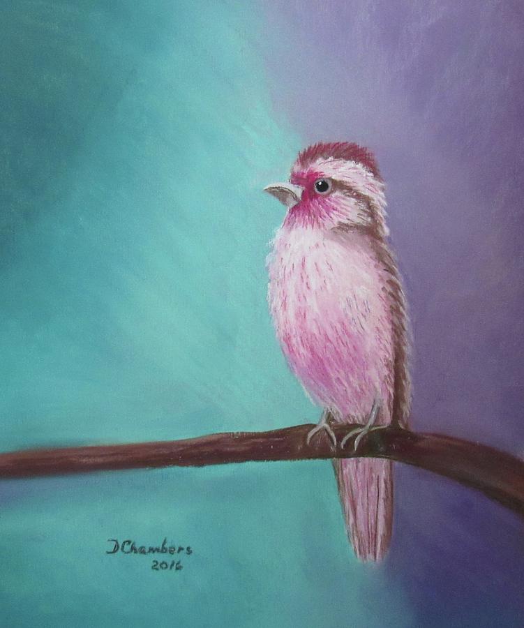Rose Browed Wren Painting by Donna Chambers