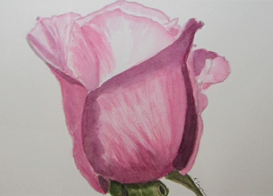 Rose bud Painting by Elvira Ingram