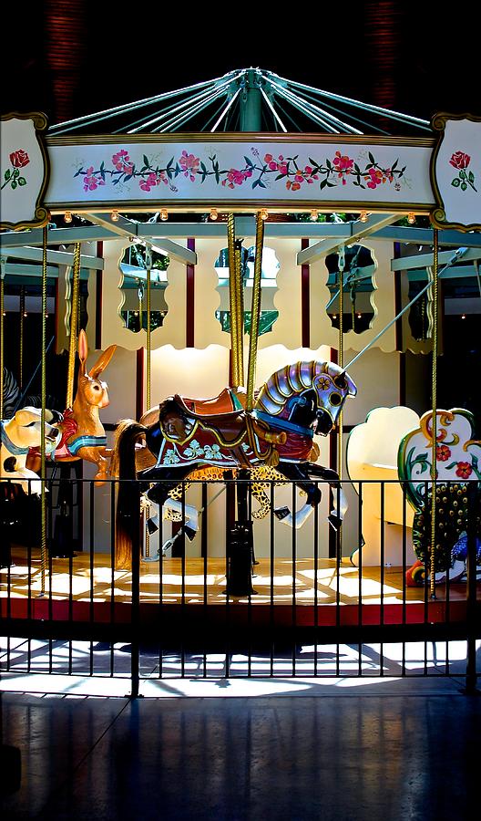 Rose Carousel Photograph by Brian Sereda