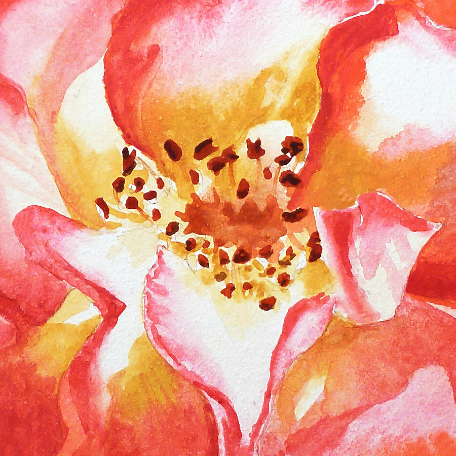 Rose Close Up Painting By Irina Sztukowski Painting