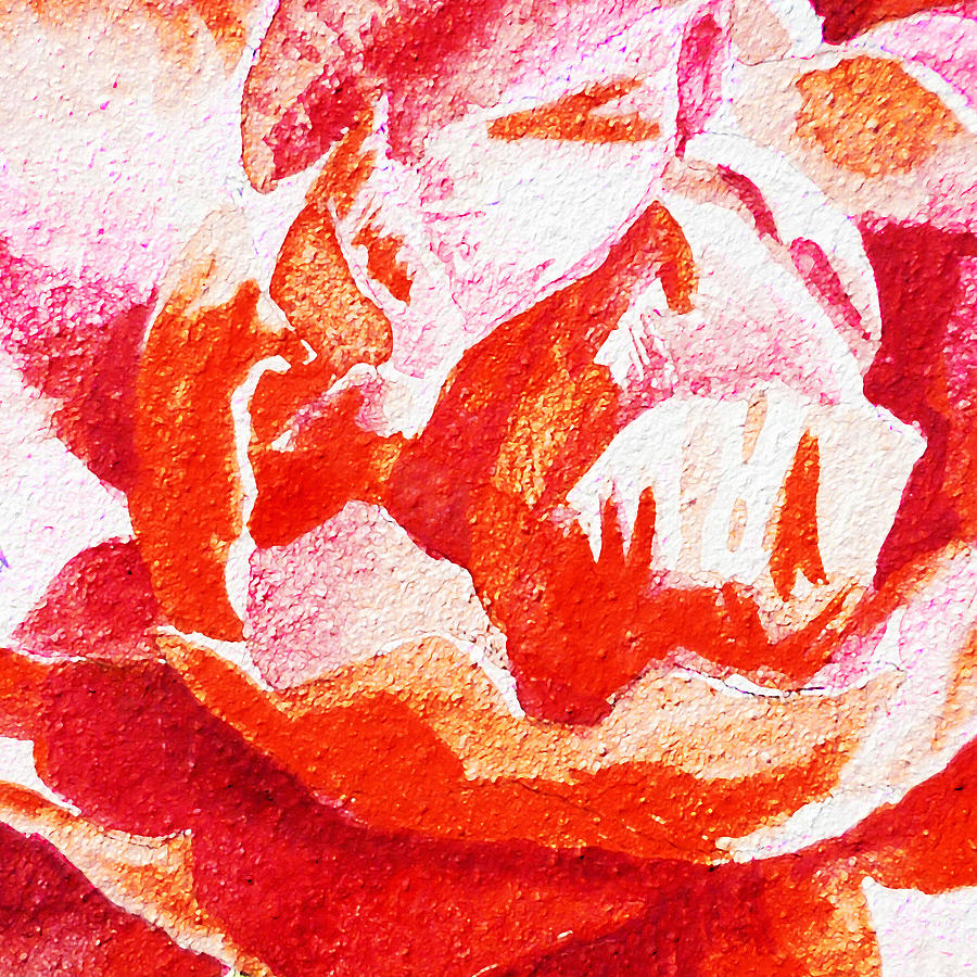 Rose Close Up Watercolor Painting Painting by Irina Sztukowski