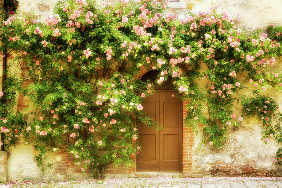 Rose Covered Entrance Photograph by Eggers Photography